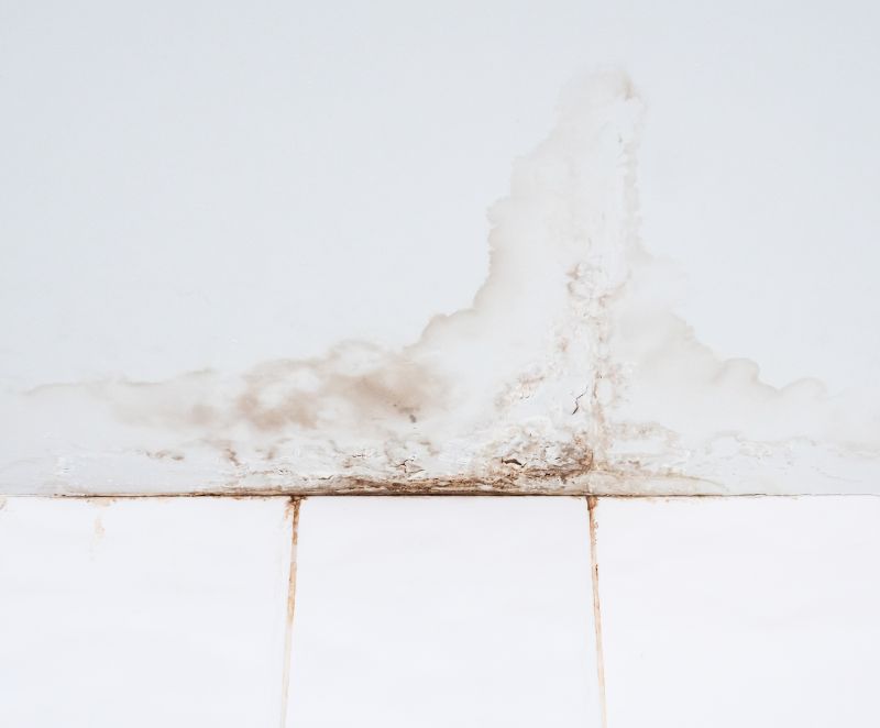 Leaking Ceiling Repair in Alpharetta, GA